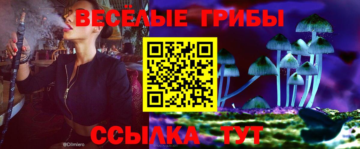 Кстово  Галлюциногенные грибы MAGIC MUSHROOMS  Вход с VPN  Псилоцибиновые грибы мухоморы 
