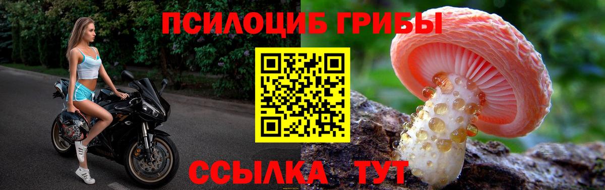 Галлюциногенные грибы Cubensis Кстово